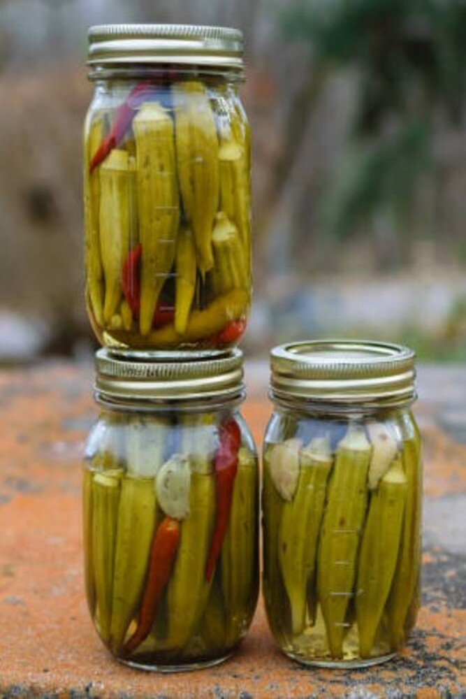 Pickled Okra Recipe